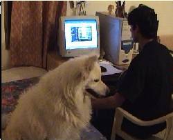 Famous dog pictures -6: Dog with computer